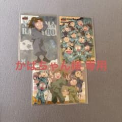 かばちゃん 様 専用のサムネイル