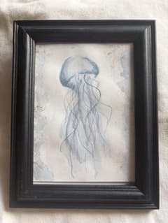 手描き水彩画 額装 「クラゲ」のサムネイル