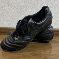 m59430166904_1.jpg?1740834121