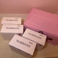 ダイヤモンドアート用トレイCateared Trabricks(トラブリックス