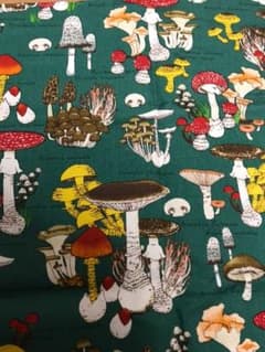 生地 布 はぎれ キノコのサムネイル
