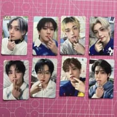 StrayKids スキズ ペンミ 3/28 入場特典 トレカ 8種セット - メルカリ