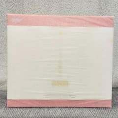 [신품 미개봉] 넨 드로이드 하츠네 미쿠 유키 미쿠 딸기 흰 무구 ver.