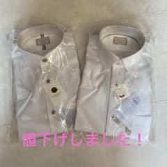 紳士用ワイシャツ　半袖　首丈39のサムネイル