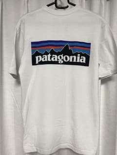 patagonia ロゴ　Tシャツ　レギュラーフィット　クルーネックのサムネイル