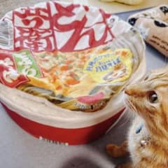 ペット用ベッド どん兵衛のサムネイル