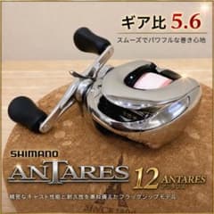 12アンタレス ギア比5.6 傷少め シマノ かっ飛び SVS∞ 12アンタレス ギア比5.6 傷少め シマノ かっ飛び SVS∞ - メルカリ