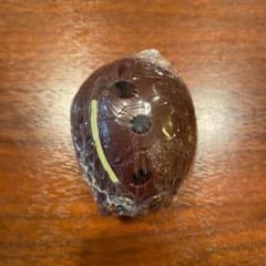 ガシャポンタマゴラス4  カブトムシのサムネイル