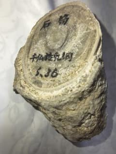 34. 希少・昭和36年採集】千仏鍾乳洞産 石筍（鍾乳石）断面標本 227g