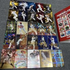 プロ野球 トレーディングカードセット サイン入り　カードホルダー付のサムネイル