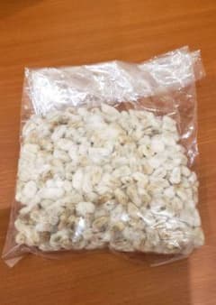綿の種　50gのサムネイル