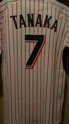 東京ヤクルトスワローズ　田中浩康　ZETT　ユニフォーム 東京ヤクルトスワローズ 田中浩康 ZETT ユニフォーム - メルカリ