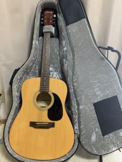 Pleytech D-4E エレアコ　ケース付き　メンテ済　弦交換済 Pleytech D-4E エレアコ ケース付き メンテ済 弦交換済 - メルカリ