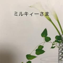 ミルキィーさまのサムネイル