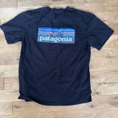 Patagonia パタゴニア Tシャツ ブラックのサムネイル
