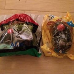 アフラック アヒル ブラックスワン ぬいぐるみのサムネイル
