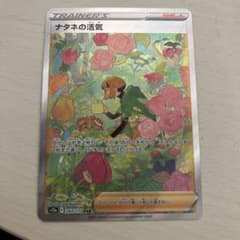 ナタネの活気SAR 即配送のサムネイル