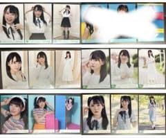 本田珠由記 コンプ 初期 まとめ売りのサムネイル