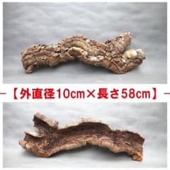 B083 ポルトガル産キャノンコルク コルク樹皮 コルク板バージンコルク