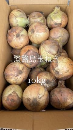 玉ねぎ 10kg 農家直送のサムネイル