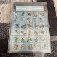 ポケモン　30個　収納ケース付き　メタルチャーム ポケモン 30個 収納ケース付き メタルチャーム 全国ずかんメタル