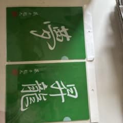 藤井聡太クリアファイル2枚のサムネイル