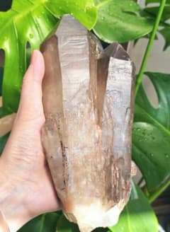 ツイン（双子水晶）レコードキーパー　ナチュラルシトリンキャンドルクォーツ 天然石 ツイン（双子水晶）レコードキーパー ナチュラルシトリンキャンドル
