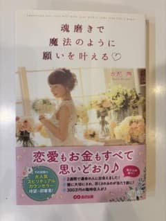 魂磨きで魔法のように願いを叶えるのサムネイル