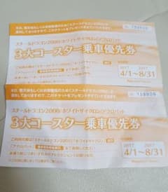 李ママ様専用ナガシマスパーランド 優先券のサムネイル