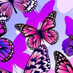 T'mm様専用のサムネイル