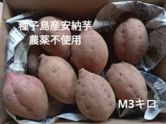 種子島産安納芋　農薬不使用　М3キロのサムネイル