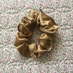 ダヤン シュシュのサムネイル