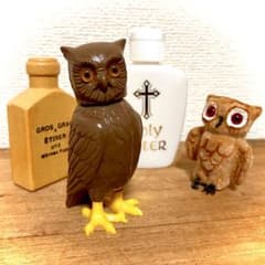 森の囁きセットのサムネイル