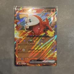 ホゲータex RR ポケモンカードのサムネイル