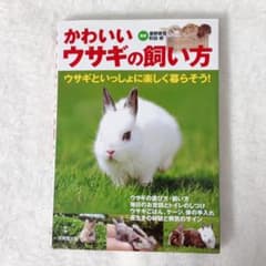 かわいいウサギの飼い方 霍野晋吉 町田修 - メルカリ
