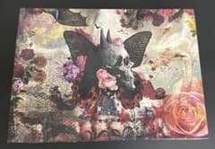 【美品】sads FALLING THE LIVE DVD+CD 2枚組 DVD+CD】 sads FALLING THE LIVE - メルカリ