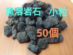 黒溶岩石　小粒　50個　ビバリウムに最適のサムネイル