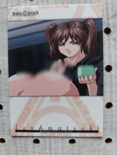 バイブルブラック トレーディングカード 11 天月純 - メルカリ
