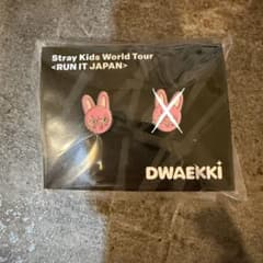 Stray Kids スキズ DWAEKKI トェッキ ピアスのサムネイル