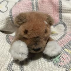 m59585743910_1.jpg?1703145026