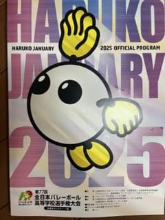 春高バレー　2025 プログラムのサムネイル