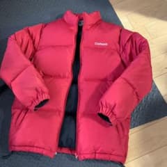 Carhartt ダウン 難ありのサムネイル