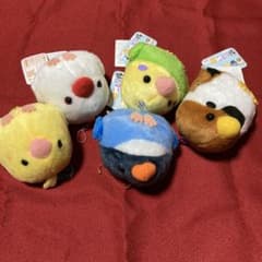 ことり隊のサムネイル