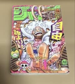 週刊少年ジャンプ 2022年42号 ワンピース ニカルフィ 初表紙 - メルカリ