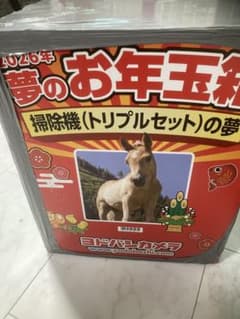 2026年 ヨドバシ 掃除機トリプルセットの夢 夢のお年玉箱 福袋 シャーク 未開封ヨドバシカメラ 2026夢のお年玉箱 掃除機（トリプルセット）福袋