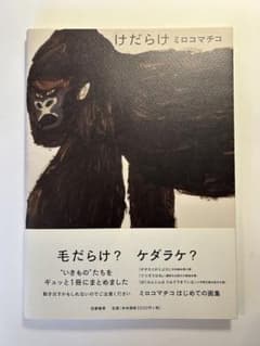 ミロコマチコ 画集 けだらけのサムネイル