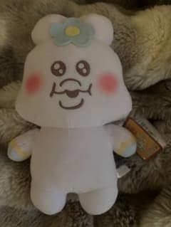 んぽちゃむ ぬいぐるみ ましゅもっち タグ有のサムネイル