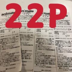アニメイトブックフェア 22P レシート　奏多様専用のサムネイル