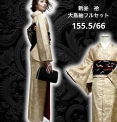 未使用 新品 美品 袷 大島紬 白紬 小紋 フルセット 身丈155.5 裄丈66