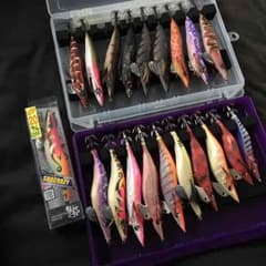ともちんさん専用のサムネイル
